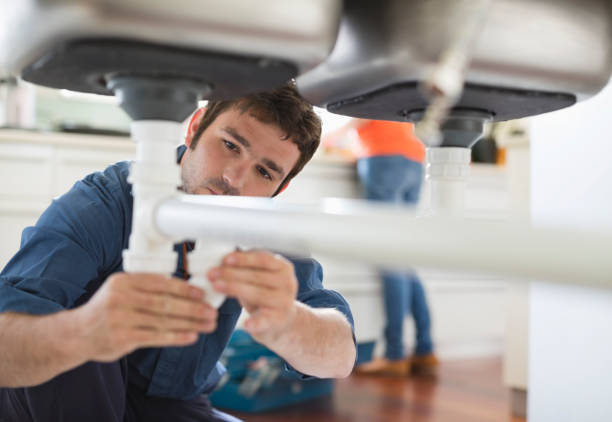 Best Plumbing Inspection Services  in Stewartville, MN