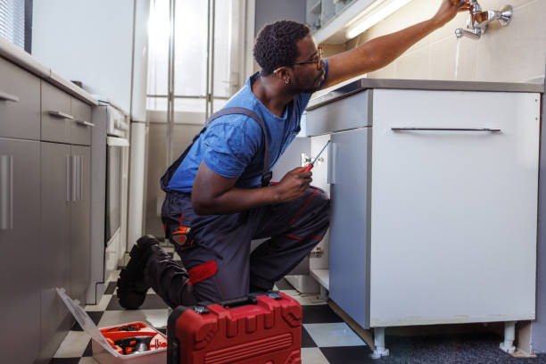 Best Sprinkler Systems  in Stewartville, MN